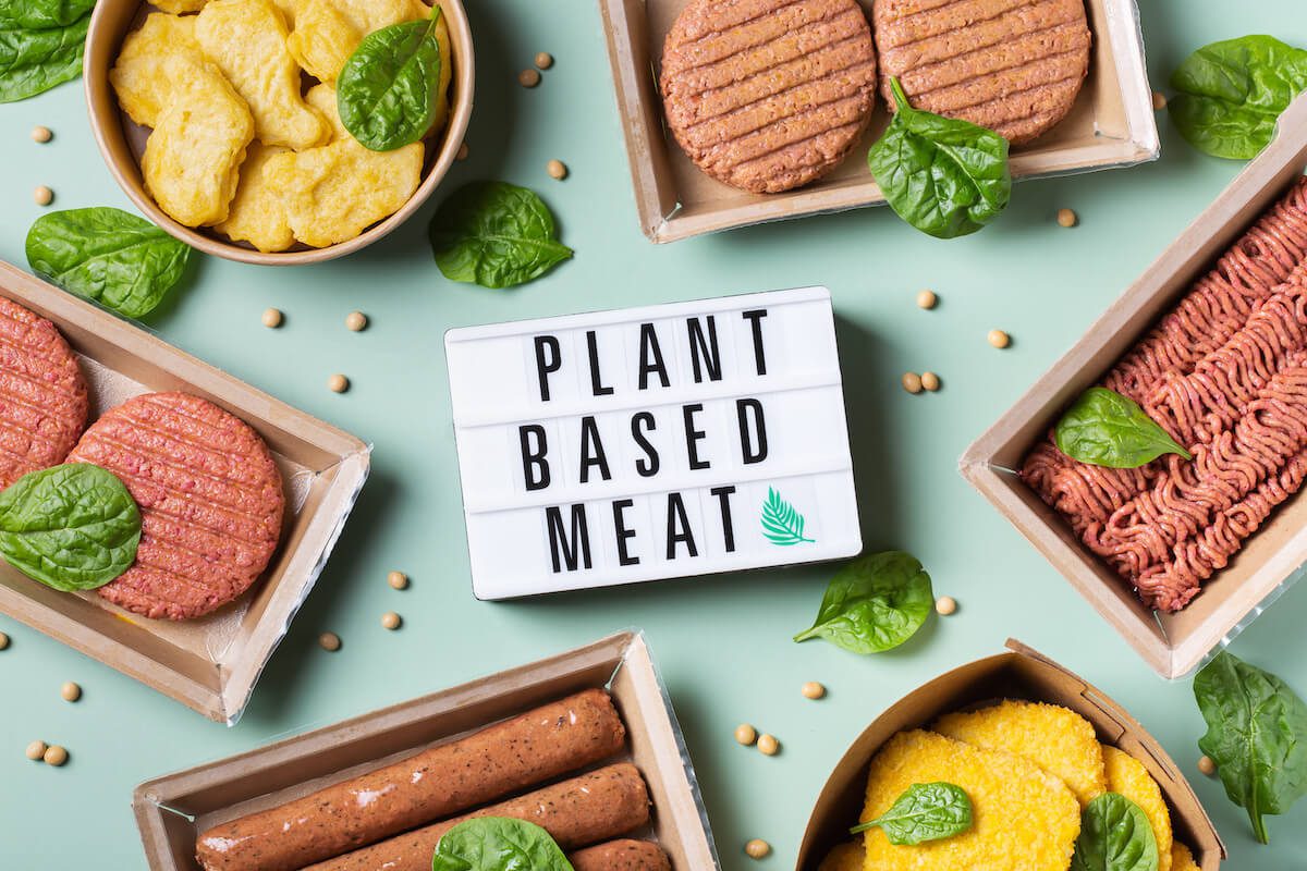 plant based meat research paper