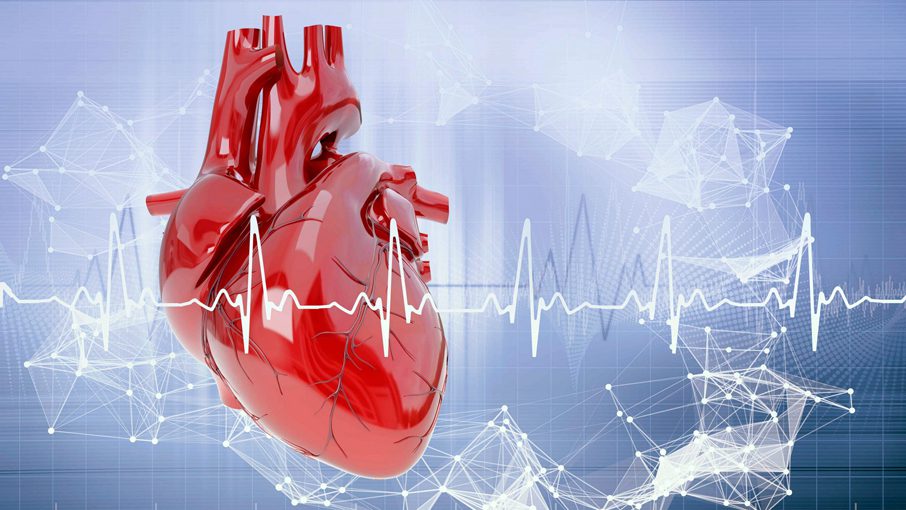 Acorai Secures €2.3m Grant for AI-Powered Heart Monitoring Device ...